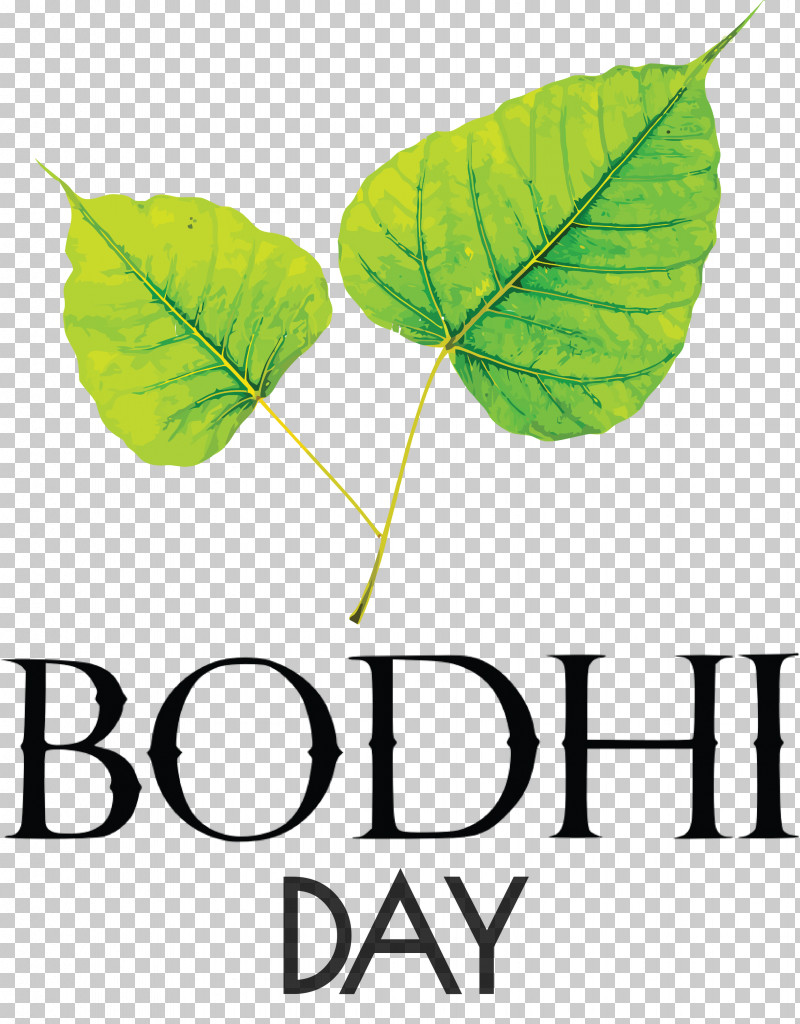 Bodhi Day Bodhi PNG, Clipart, Bodhi, Bodhi Day, Bodhi Tree Bodhgaya Bihar, Common Fig, Fig Leaf Free PNG Download