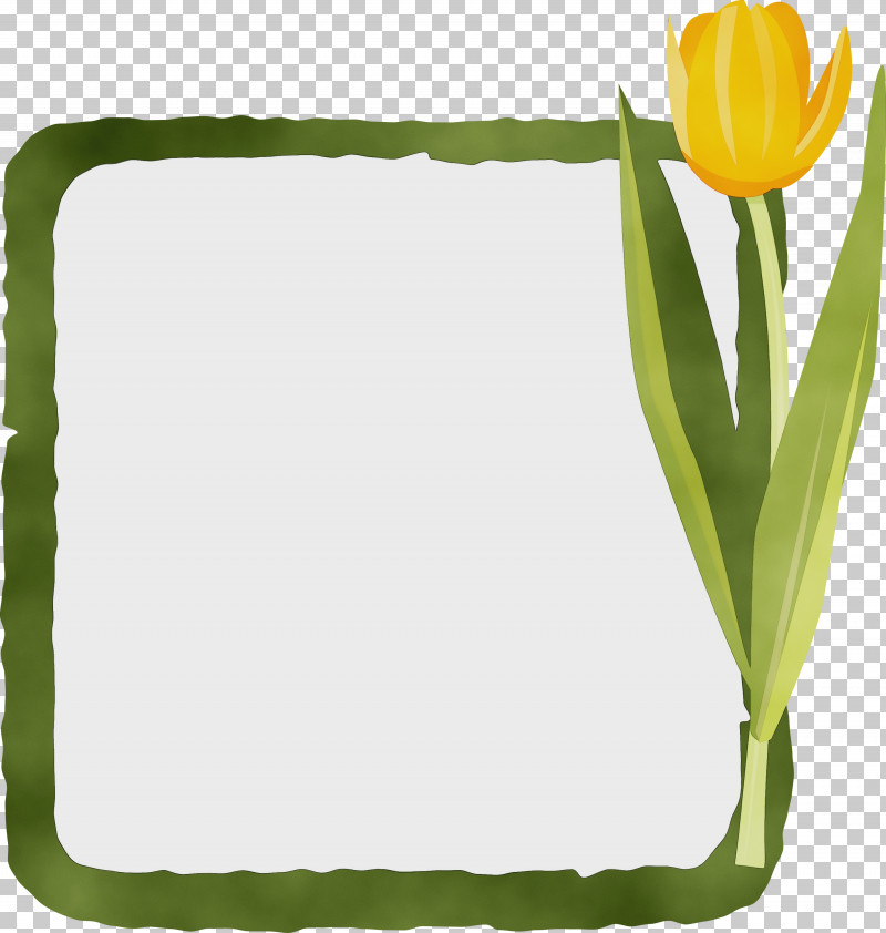 Flower Plant Stem Leaf Rectangle Tulip PNG, Clipart, Biology, Flower, Flower Frame, Flowerpot, Geometry Free PNG Download