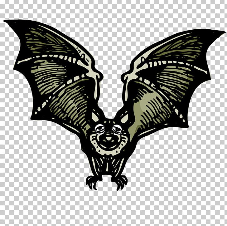 Bat Cartoon Drawing PNG, Clipart, Animals, Balloon Cartoon, Bat, Bat Vector, Boy Cartoon Free PNG Download
