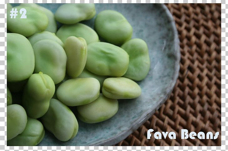 Broad Bean Food Balsamic Vinegar Syrian Cuisine Gluten-free Diet PNG, Clipart, Balsamic Vinegar, Bean, Beans, Broad Bean, Commodity Free PNG Download