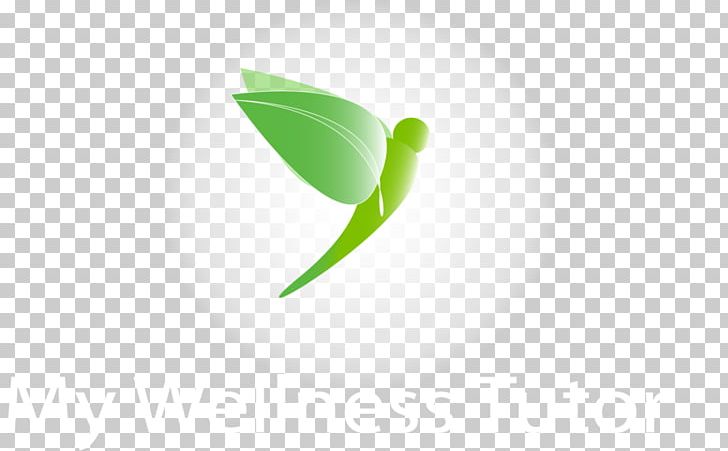 Leaf Logo Desktop PNG, Clipart, Closeup, Computer, Computer Wallpaper, Desktop Wallpaper, Green Free PNG Download