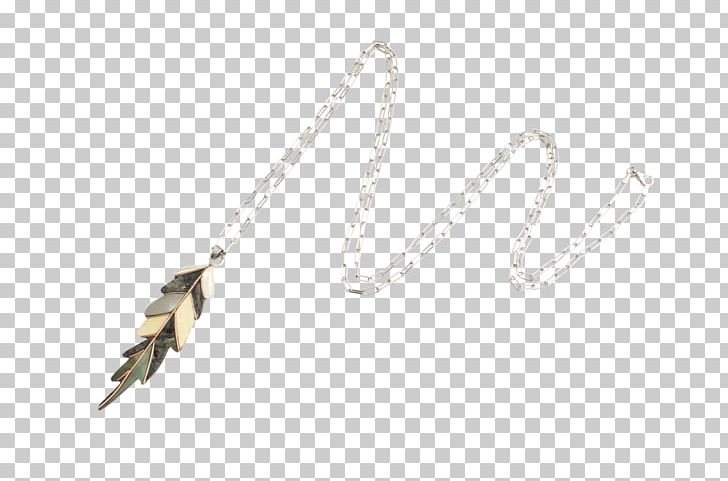 Necklace Charms & Pendants Material Feather Wood PNG, Clipart, Chain, Charms Pendants, Code, Computed Tomography, Diamond Free PNG Download
