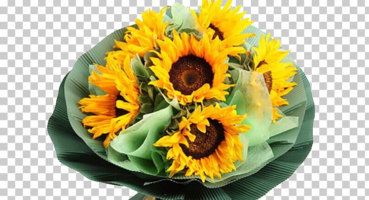 Common Sunflower Nosegay Meituan.com PNG, Clipart, Background Green, Blomsterbutikk, Bouquet, Cut Flowers, Daisy Family Free PNG Download