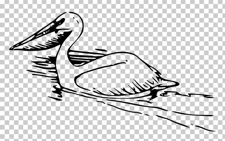 Pelican Black And White PNG, Clipart, Arm, Art, Artwork, Beak, Bird Free PNG Download
