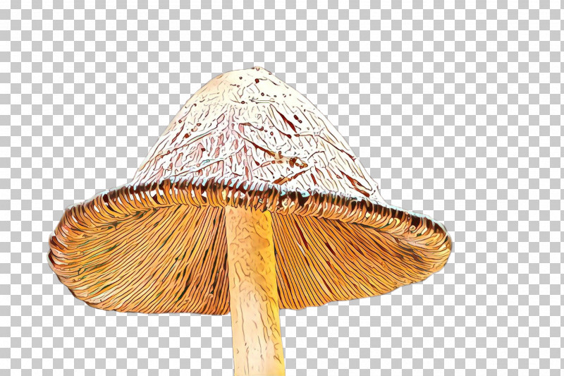 Mushroom Umbrella Hat Cone PNG, Clipart, Cone, Hat, Mushroom, Umbrella Free PNG Download