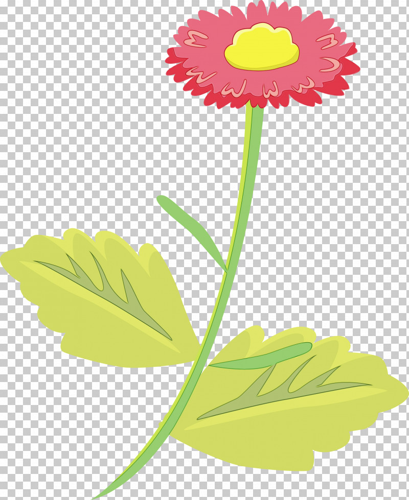 Daisy PNG, Clipart, Barberton Daisy, Daisy, Flower, Gerbera, Paint Free PNG Download