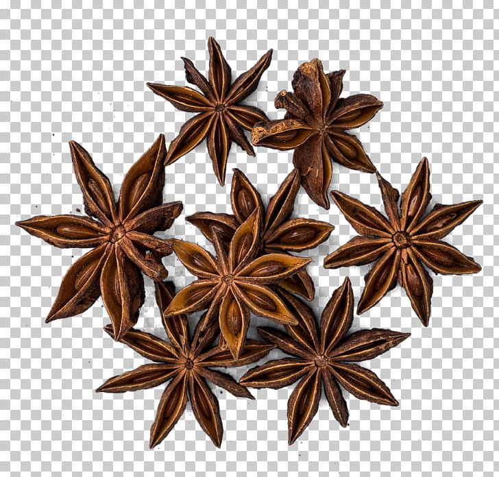 Five-spice Powder Star Anise Fennel PNG, Clipart, Anise, Bay Leaf, Cardamom, Cinnamon, Clove Free PNG Download
