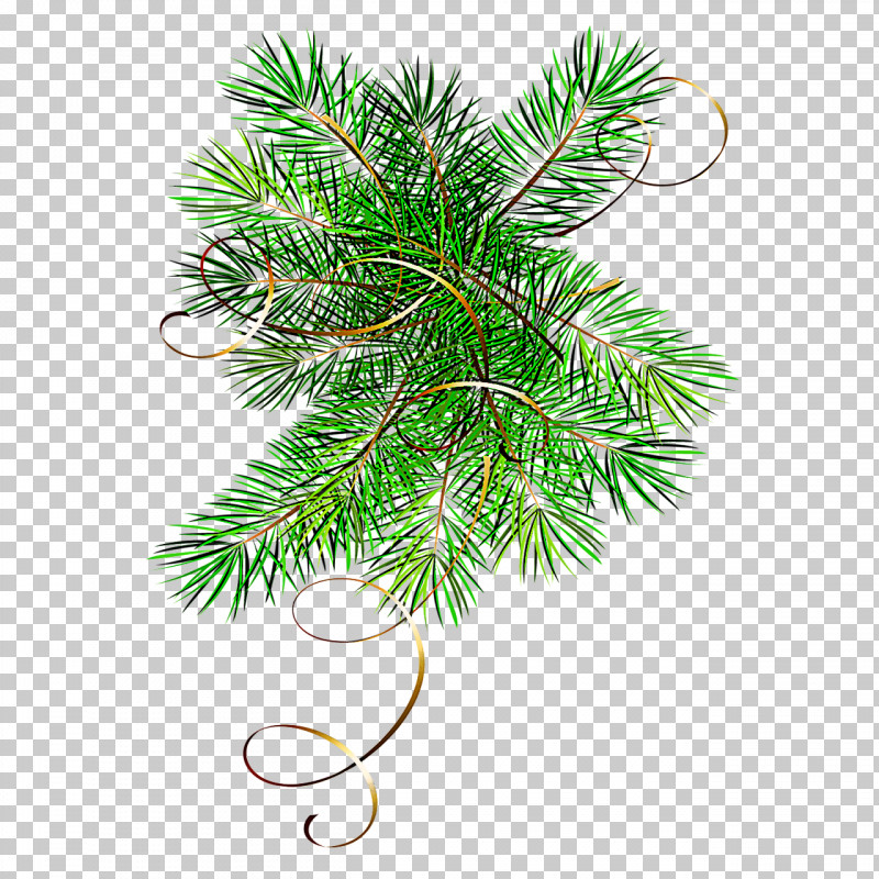 Christmas Tree PNG, Clipart, American Larch, Balsam Fir, Branch, Canadian Fir, Christmas Free PNG Download