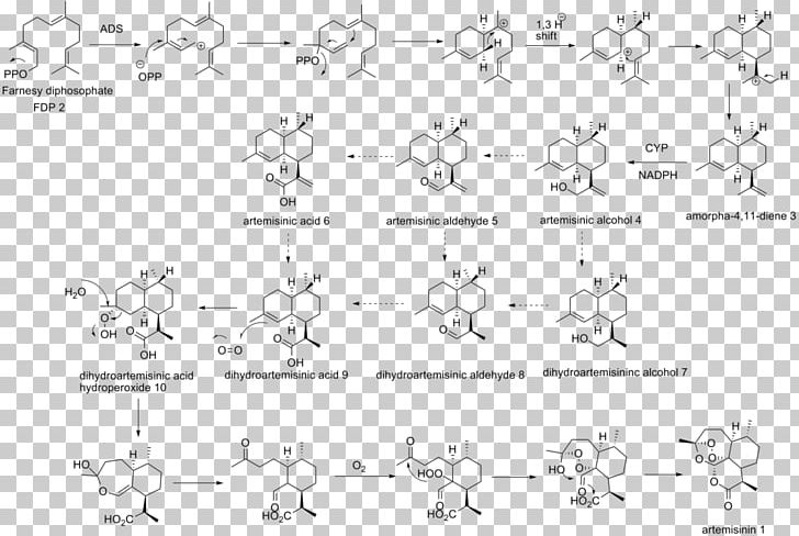 Artemisinin Biosynthesis Sweet Wormwood Chemical Synthesis Sesquiterpene PNG, Clipart, Angle, Antimalarial Medication, Area, Artemisinin, Auto Part Free PNG Download