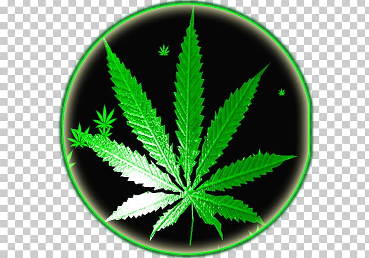 Cannabis Android Application Package Rastafari Reggae PNG, Clipart, Android, Bob Marley, Cannabis, Desktop Wallpaper, Drug Free PNG Download