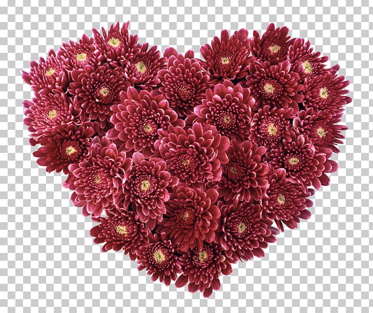 Flower Love High-definition Television Heart Display Resolution PNG, Clipart, 720p, 1080p, Aster, Chrysanths, Cut Flowers Free PNG Download