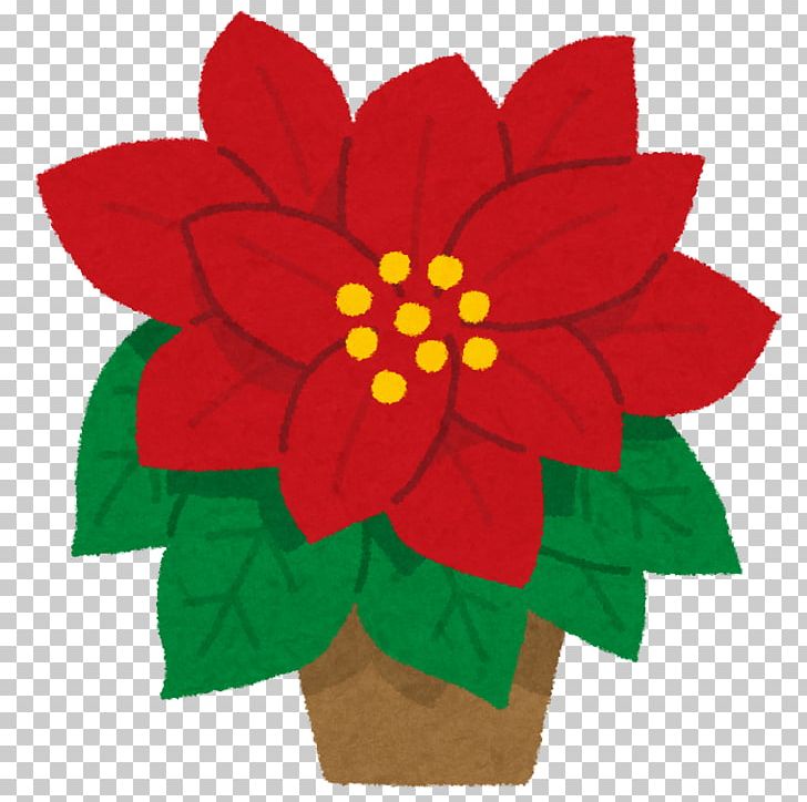 Poinsettia Floral Design Flower Christmas Tulip PNG, Clipart, Bulb, Christmas, Christmas Song, Christmas Tree, Cut Flowers Free PNG Download