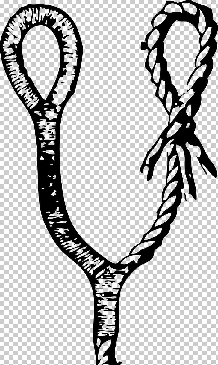 Seizing Knot Rope PNG, Clipart,  Free PNG Download