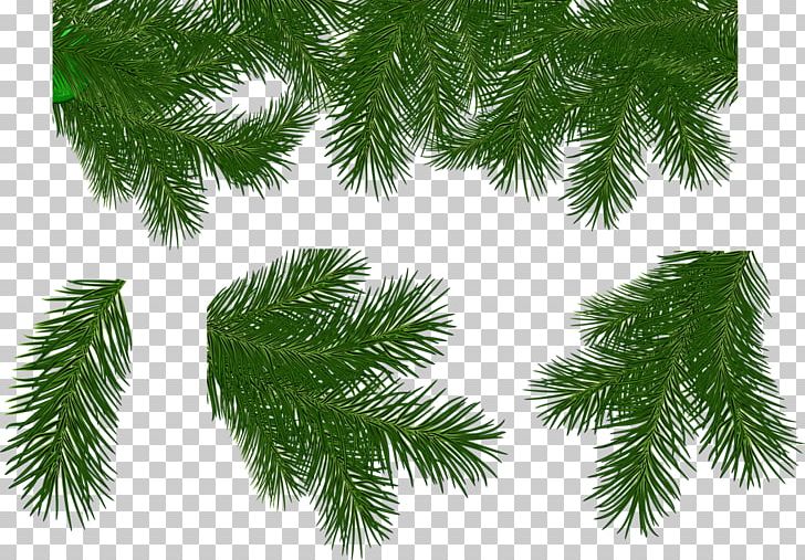 Spruce Christmas Ornament New Year Tree PNG, Clipart, Biome, Branch, Celebrities, Chris Pine, Christmas Free PNG Download