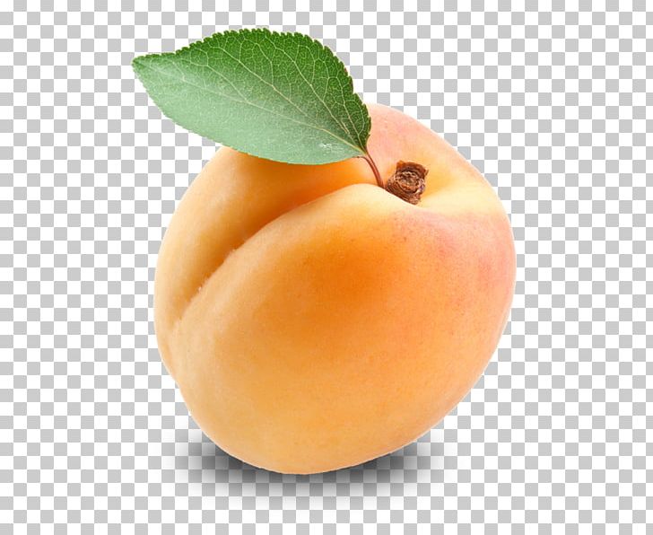 Apricot Kernel Fruit Amygdalin PNG, Clipart, Amygdalin, Apple, Apricot, Apricot Kernel, Calorie Free PNG Download