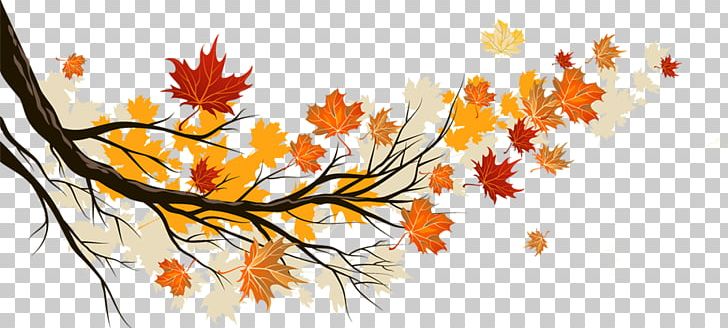 Autumn Leaf Color Maple Leaf PNG, Clipart, Autumn, Autumn Leaf, Branch, Color, Computer Wallpaper Free PNG Download