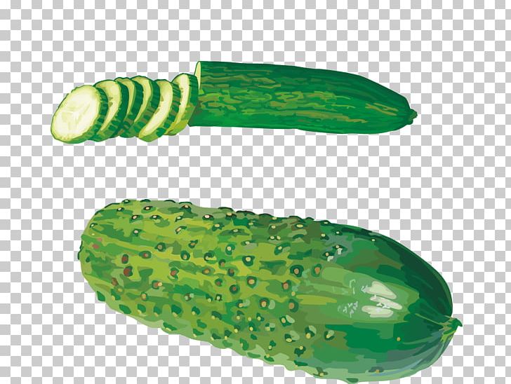 Cucumber West Indian Gherkin Vegetable PNG, Clipart, Armenian Cucumber, Cucumber Gourd And Melon Family, Cucumis, Food, Fruit Free PNG Download