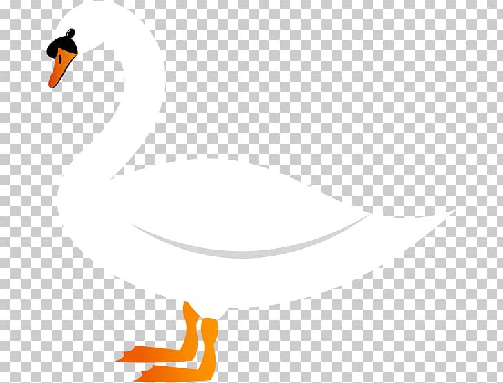 Duck Goose Cygnini PNG, Clipart, Art Museum, Beak, Bird, Black And White, Cartoon Swan Free PNG Download