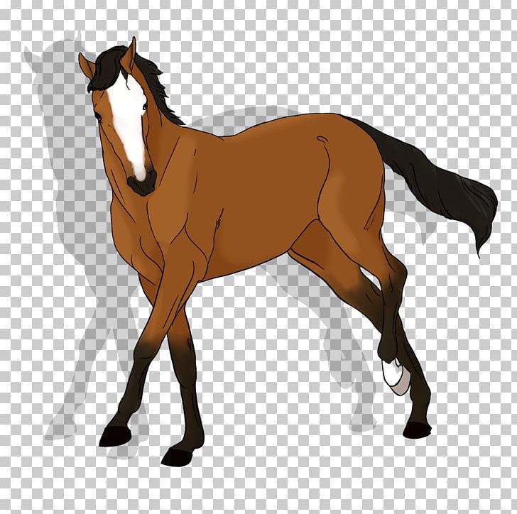 Mustang Foal Stallion Rein Mare PNG, Clipart, Animal Figure, Bridle, Colt, English Riding, Equestrian Free PNG Download