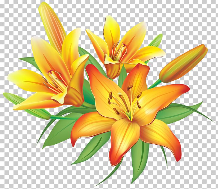 Flower Yellow PNG, Clipart, Clip Art, Clipart, Cut Flowers, Decoration, Easter Lily Free PNG Download