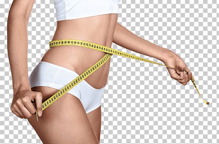Human Body Waist Liposuction Adipose Tissue Female Body Shape PNG, Clipart, Abdomen, Active Undergarment, Adipose Tissue, Arm, Body Contouring Free PNG Download