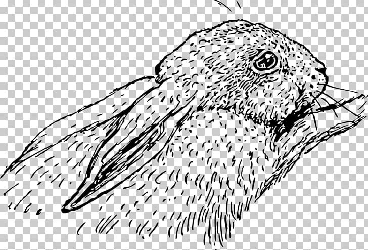 Rabbit Drawing Line Art PNG, Clipart, Animals, Artwork, Beak, Bird, Bird Of Prey Free PNG Download
