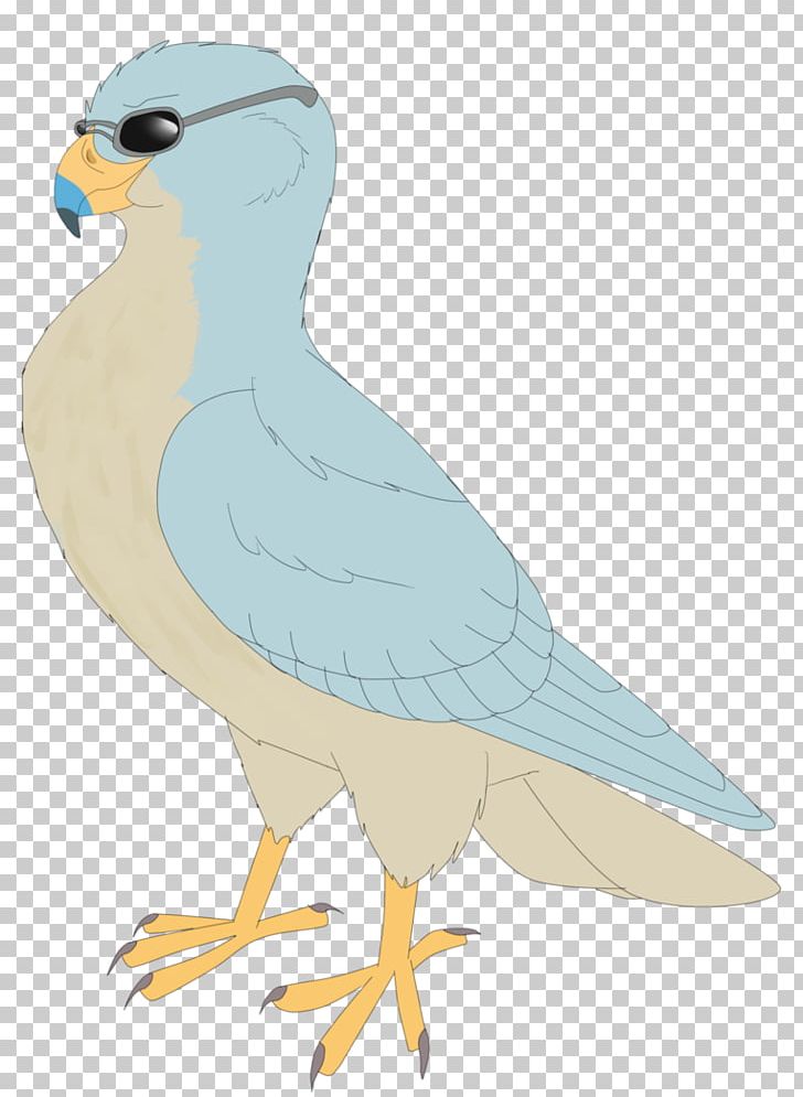 Beak Seabird Shorebirds PNG, Clipart, Animals, Art, Beak, Bird, Bird Of Prey Free PNG Download