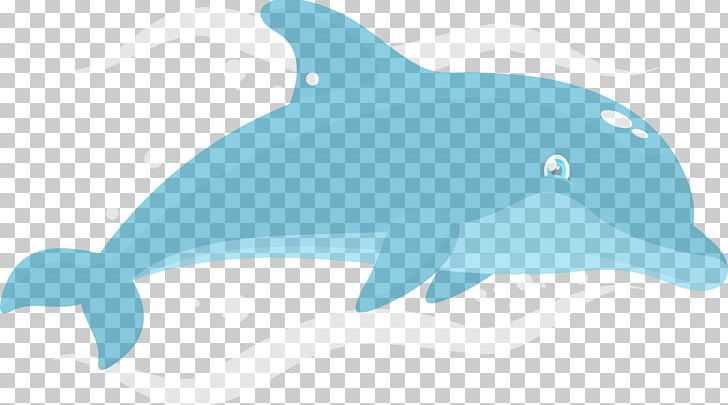 Common Bottlenose Dolphin Tucuxi Short-beaked Common Dolphin Rough-toothed Dolphin Wholphin PNG, Clipart, Animals, Biology, Blue, Bottlenose Dolphin, Electric Blue Free PNG Download