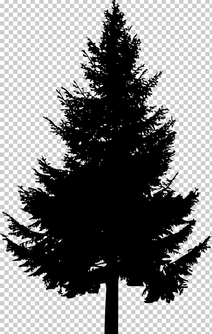 Pine Tree Silhouette Png Clipart Black And White Branch Christmas Decoration Christmas Ornament Christmas Tree Free