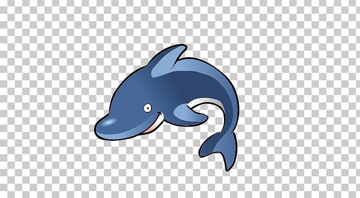 Spinner Dolphin Free Content PNG, Clipart, Animals, Blog, Blue, Blue Whale, Bottlenose Dolphin Free PNG Download