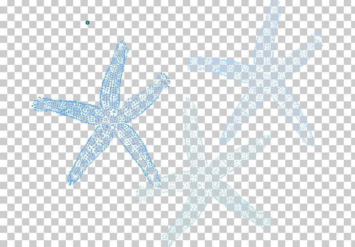 Starfish Marine Invertebrates Echinoderm Organism PNG, Clipart, Animal, Animals, Echinoderm, Fish, Greeting Note Cards Free PNG Download