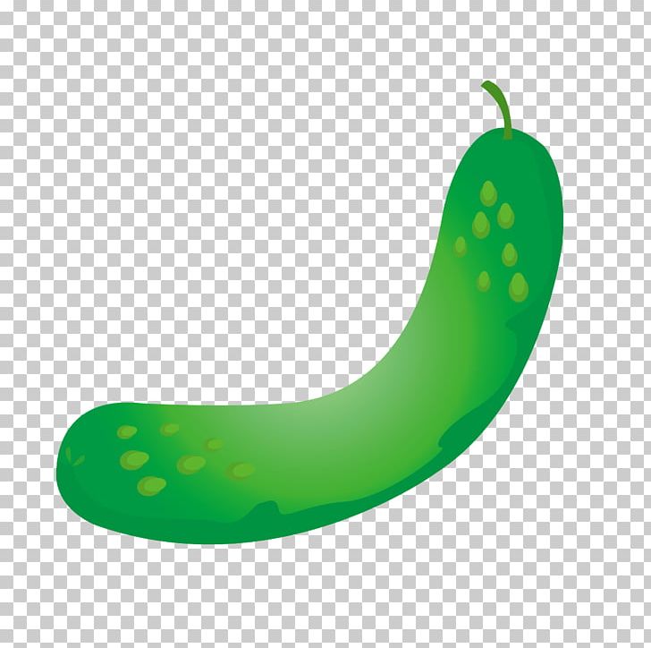 Vegetable Cucumber Melon PNG, Clipart, Adobe Illustrator, Background Green, Cucumber, Designer, Food Free PNG Download