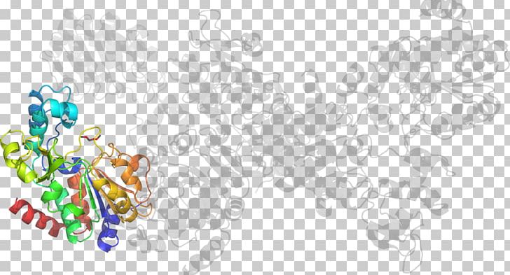Illustration Desktop Flower Computer PNG, Clipart, Area, Art, Body Jewellery, Body Jewelry, Border Free PNG Download