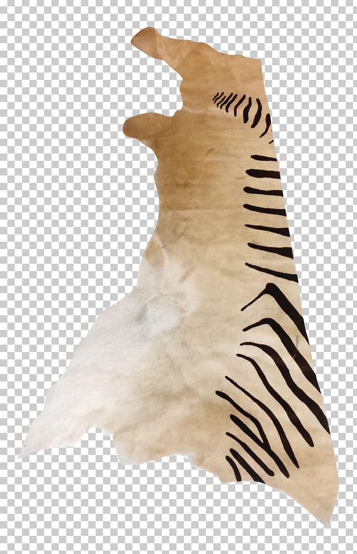 Tail Fur Neck PNG, Clipart, Fur, Miscellaneous, Neck, Others, Print Free PNG Download