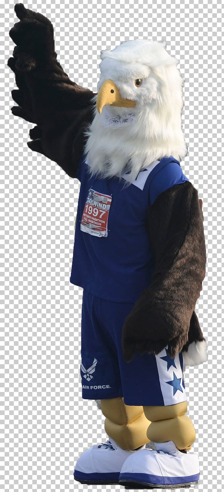 Bird Of Prey Cobalt Blue Mascot Costume PNG, Clipart, Animals, Bird, Bird Of Prey, Blue, Cobalt Free PNG Download