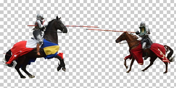 Equestrian Jousting Jockey Knight PNG, Clipart, Animal Figure, Bridle, Equestrian, Equestrianism, Horse Free PNG Download