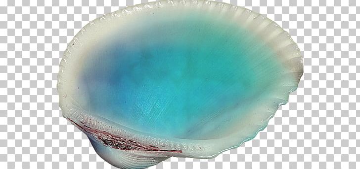 Mussel Bivalvia Castle Of Glass PNG, Clipart, Aqua, Bivalvia, Castle Of Glass, Glass, Graphics Software Free PNG Download
