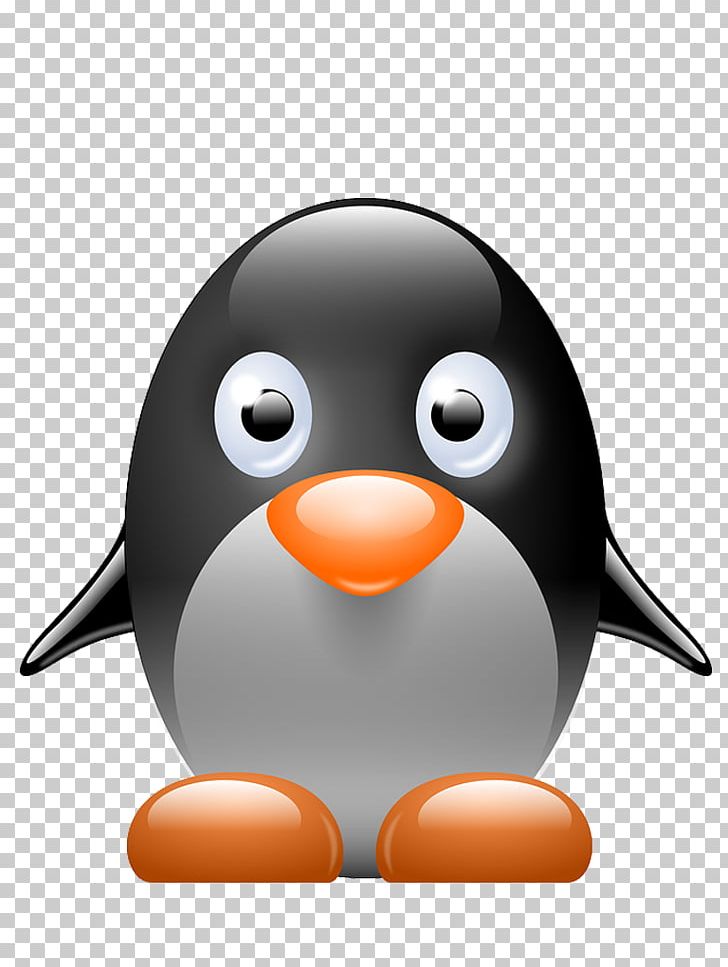 Penguin Tux Racer PNG, Clipart, Animals, Animated Film, Beak, Bird, Download Free PNG Download