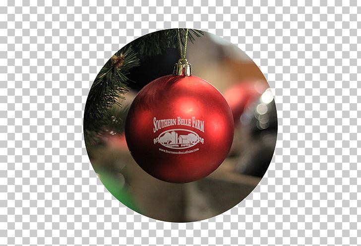 Southern Belle Farm Family Farm McDonough PNG, Clipart, Berry, Christmas, Christmas Decoration, Christmas Ornament, Christmas Tree Free PNG Download