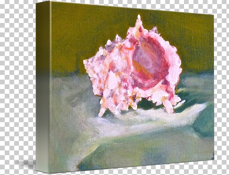 Still Life Photography Watercolor Painting Conch Seashell PNG, Clipart, Artwork, Conch, Flower, Nature, Organism Free PNG Download