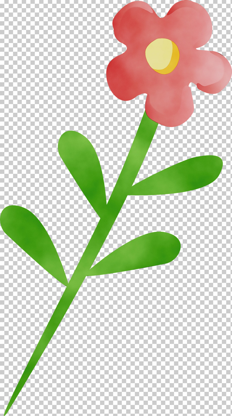 Flower Plant Leaf Pedicel Plant Stem PNG, Clipart, Flower, Leaf, Paint, Pedicel, Petal Free PNG Download