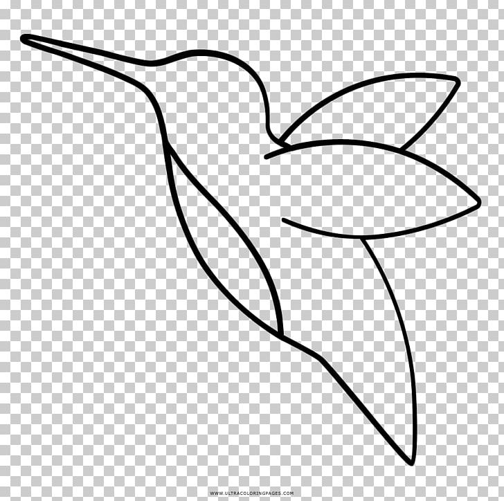 Hummingbird Drawing Beak Black And White PNG, Clipart, Angle, Area, Art, Artwork, Ausmalbild Free PNG Download