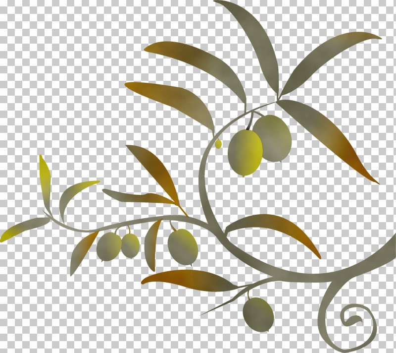Leaf Plant Tree Olive Branch PNG, Clipart, Branch, Flower, Fruit, Leaf, Olive Free PNG Download