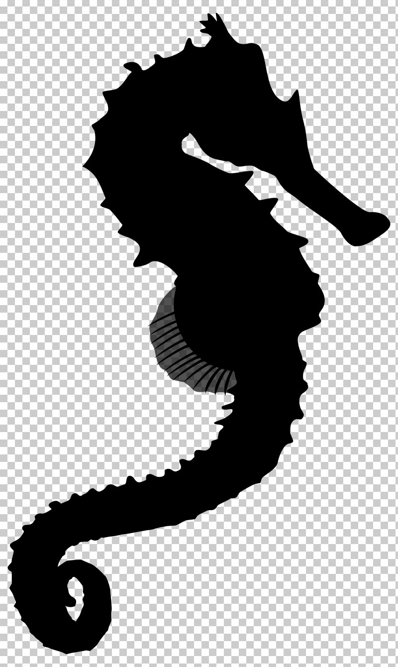 Seahorse Fish Black-and-white Silhouette PNG, Clipart, Blackandwhite, Fish, Seahorse, Silhouette Free PNG Download