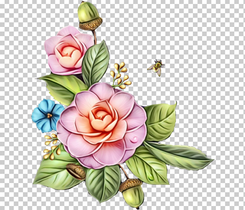 Garden Roses PNG, Clipart, 2019, August 9, Cabbage Rose, Cut Flowers, Floral Design Free PNG Download