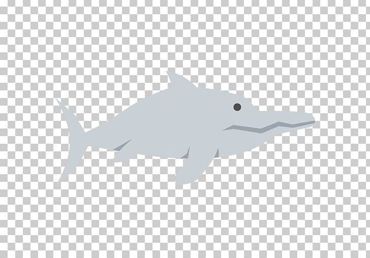 Common Bottlenose Dolphin Tucuxi Rough-toothed Dolphin Fish PNG, Clipart, Animal, Animals, Bottlenose Dolphin, Carnivore, Common Bottlenose Dolphin Free PNG Download