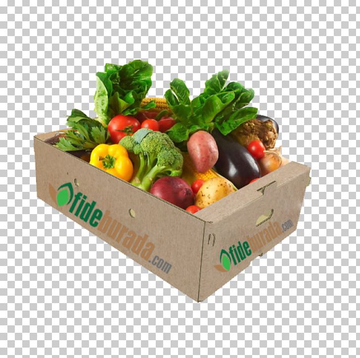 Eating Health Fat Vegetable Nutrition PNG, Clipart, Calorie, Diet, Diet Food, Dieting, Dolma Free PNG Download