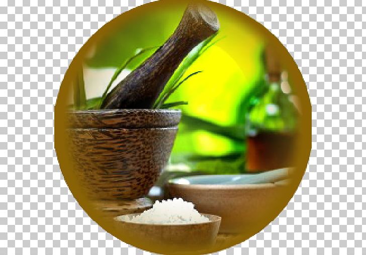 Ayurveda Medicine Panchakarma Health PNG, Clipart, App, Ayurveda, Clinic, Disease, Health Free PNG Download