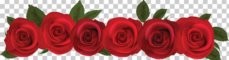 Rose Open Graphics PNG, Clipart, Cut Flowers, Floral Design, Floristry, Flower, Flower Arranging Free PNG Download