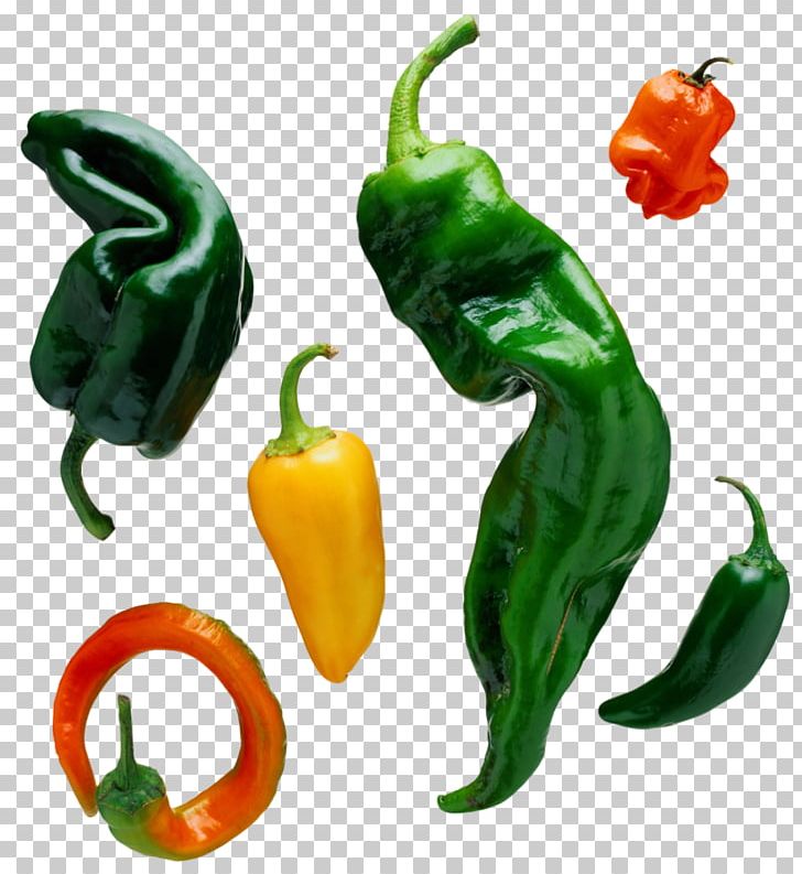 Bell Pepper Chili Con Carne Salsa Chili Pepper Food PNG, Clipart, Bell Peppers And Chili Peppers, Black Pepper, Capsicum, Cayenne Pepper, Chili Peppers Free PNG Download